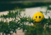 인간관계를 개선하는 실천법 a yellow ball with a smiley face sitting in the grass