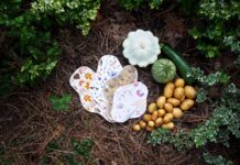 생리 건강 루틴과 페미테크의 부상 a butterfly on a flower