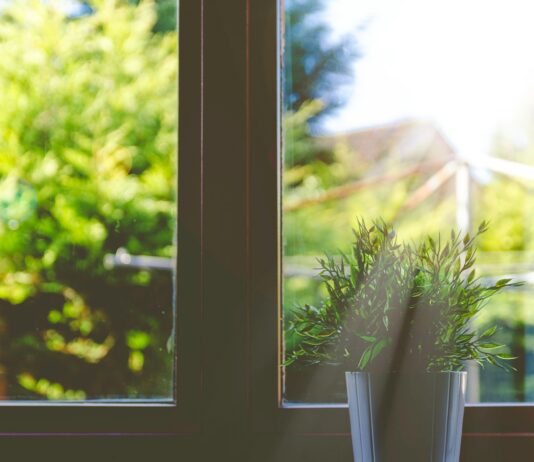 “아무리 운동해도 살이 안 빠져요”… 호르몬 불균형부터 의심하세요 green leafed plant in front of window in shallow focus photography