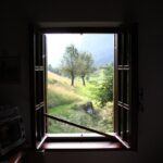 “스마트하게 챙기는 직장인 건강, 작은 실천이 만든다” A window frames a lush green landscape.